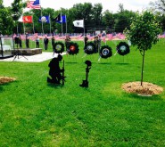 Healing Field