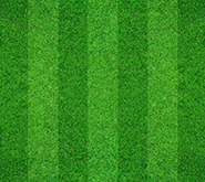 grass