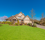 lawn and landscape