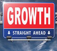diversify your business through growth