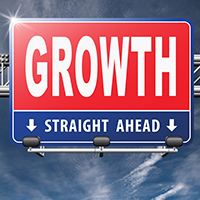 diversify your business through growth