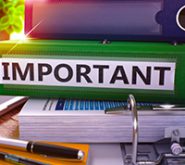 important stages of support for green businesses