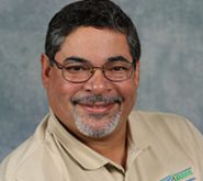 David Roman