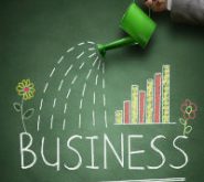 converting leads into sales