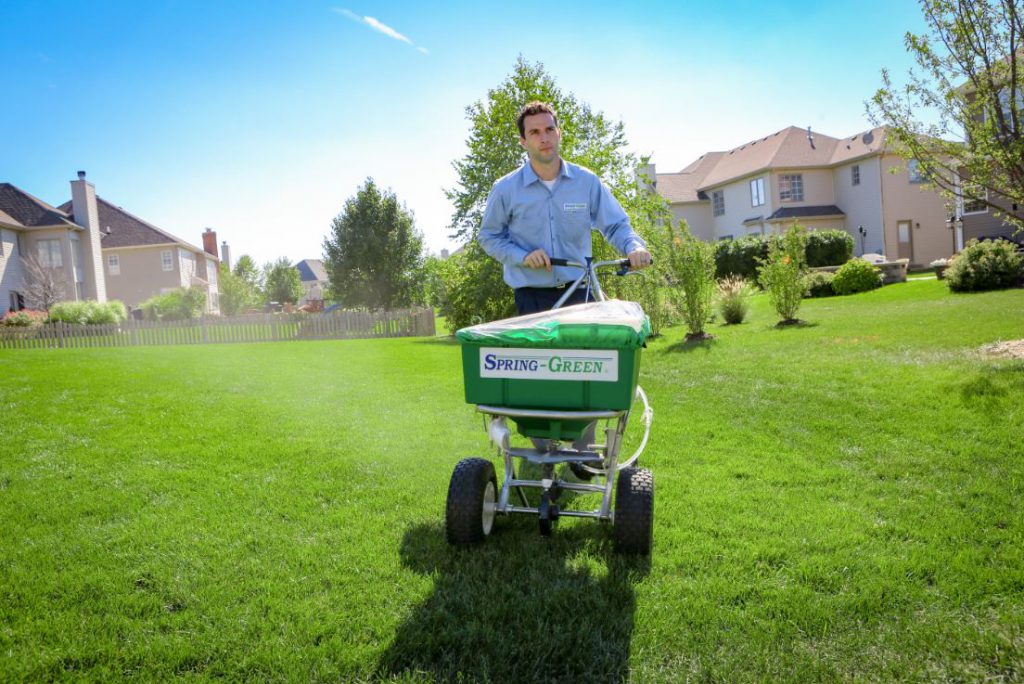 Spring-Green Flex Start Program Image