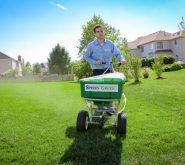Spring-Green Flex Start Program Image
