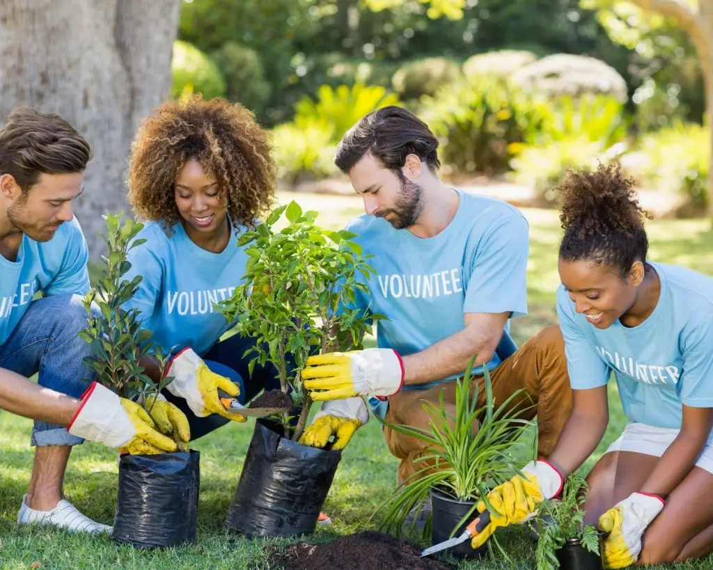 4 people Volunteering outside planting