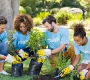 4 people Volunteering outside planting