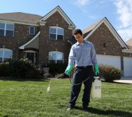 Recurring Revenue - Pest Control Image