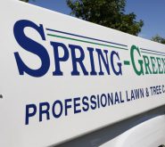 Josh Monti - Spring-Green Business Owner
