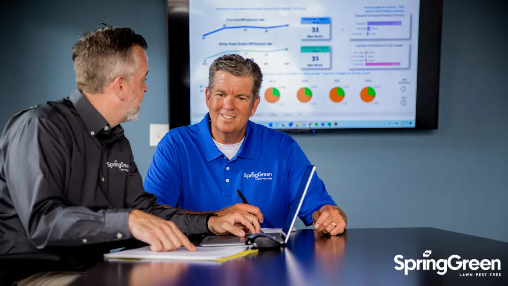 SpringGreen business consultant talking to client