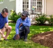 SpringGreen employee and Spring customer having a conversation about lawn