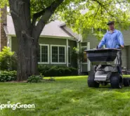 SpringGreen lawncare tech riding on a mower in a backyard of a well kept lawn.