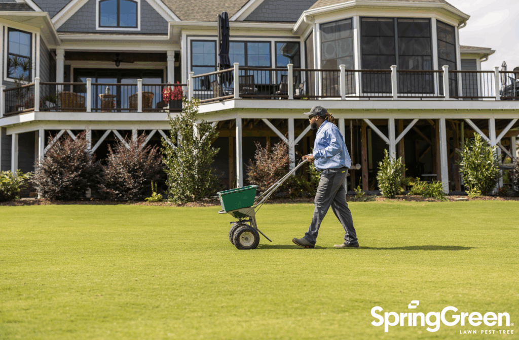 The current image has no alternative text. The file name is: Spring-Green-Helps-Green-Industry-Owners-Diversify-and-Scale-Efficiently.png