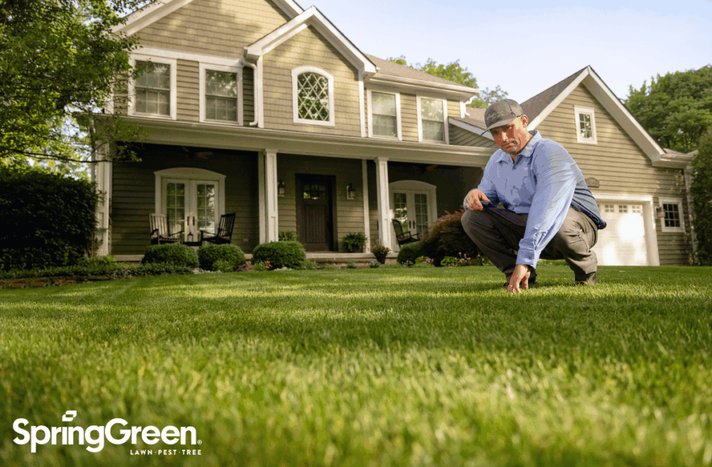 The current image has no alternative text. The file name is: How-to-Make-Your-Business-more-Attractive-to-a-Buyer-Blog.png