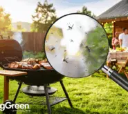 backyard with food on grill and people outside, magnifying glass showing mosquitos present