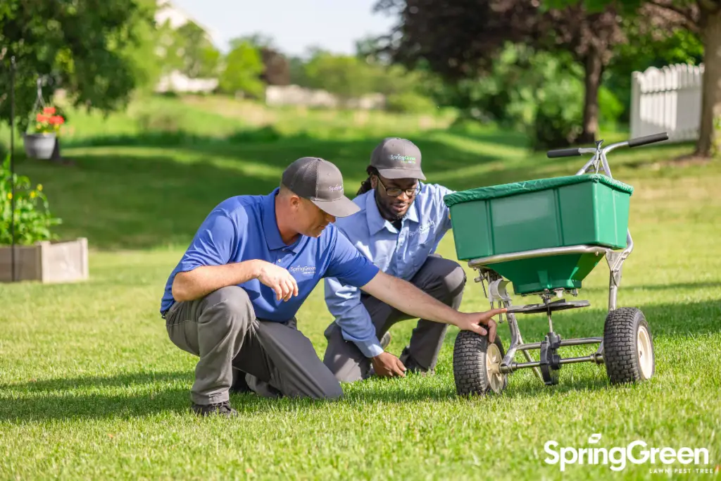two springgreen employees working outside