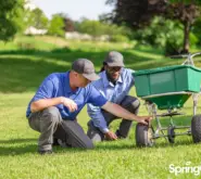 two springgreen employees working outside