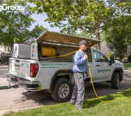 SpringGreen employee working outside doing pest control