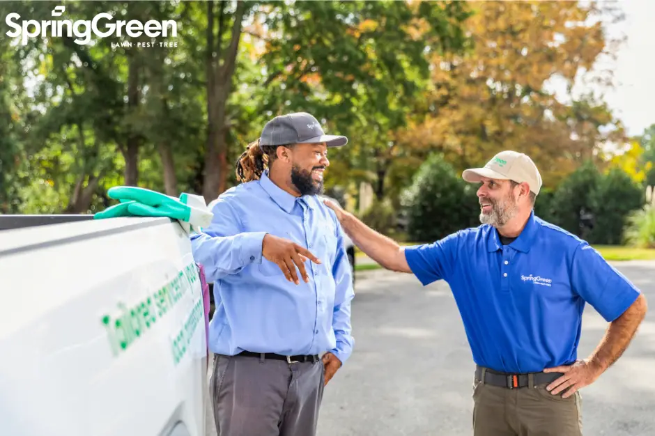 SpringGreen employees talking to eachother outside while working by SpringGreen truck