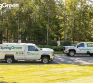two SpringGreen trucks parked outside