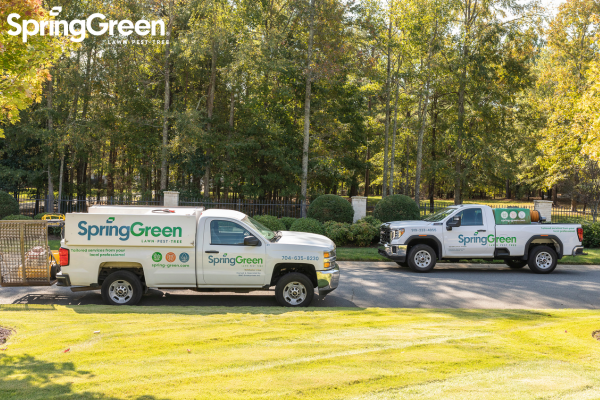 two SpringGreen trucks parked outside