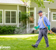 SpringGreen employee working outside providing lawn care services