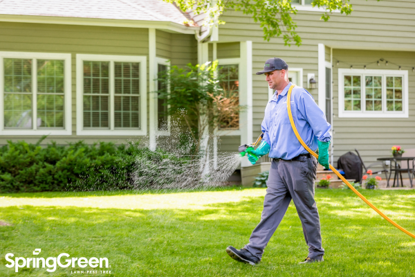 SpringGreen employee working outside providing lawn care services