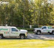 Two SpringGreen trucks parked outside in neighborhood