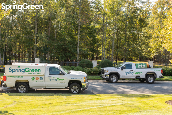 Two SpringGreen trucks parked outside in neighborhood