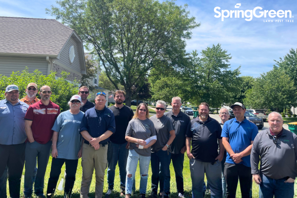 SpringGreen team